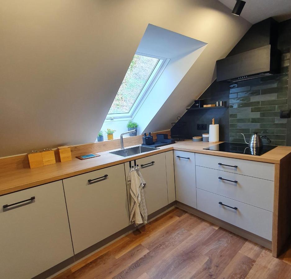 Apartamenty Magiczna Wenecja Cieszyn  Extérieur photo
