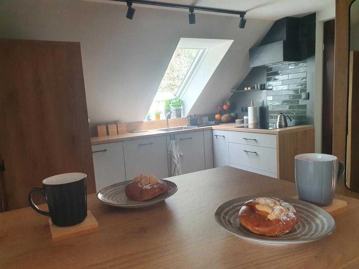 Apartamenty Magiczna Wenecja Cieszyn  Extérieur photo